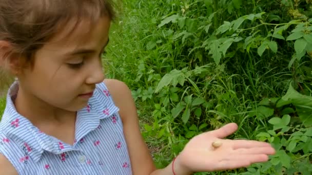 Dziecko trzyma ślimaka w ręku. Skupienie selektywne. — Wideo stockowe