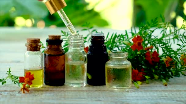 Tagety tinktura esenciální olej v malé lahvičce. Selektivní zaměření. — Stock video