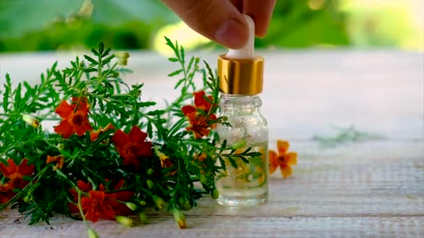 Tagetes tintura aceite esencial en una botella pequeña. Enfoque selectivo. — Vídeos de Stock