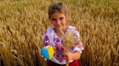 Ukrayna 'nın bağımsızlık günü için buğday tarlası konsepti. Seçici odak.