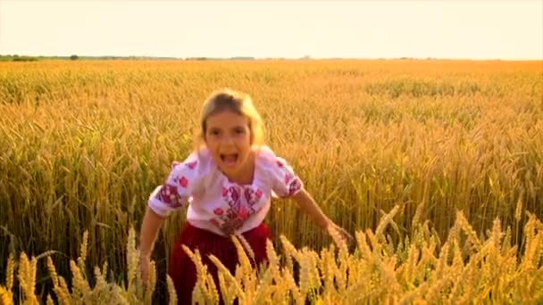 Dziecko w koncepcji pola pszenicy na dzień niepodległości Ukrainy. Skupienie selektywne. — Wideo stockowe