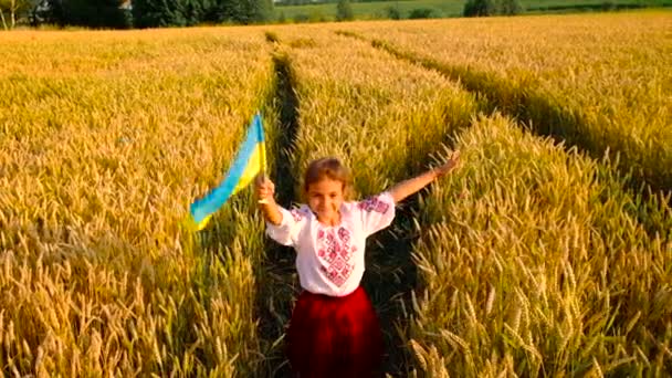 Dziecko w koncepcji pola pszenicy na dzień niepodległości Ukrainy. Skupienie selektywne. — Wideo stockowe