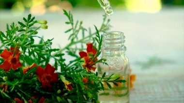 Tagetes tentür küçük bir şişede gerekli yağ. Seçici odak.