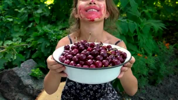 Дитина їсть вишні в саду. Вибірковий фокус . — стокове відео