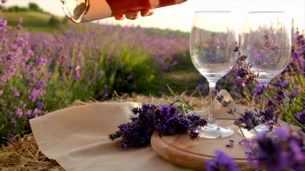 Vino de picnic en un campo de lavanda. Enfoque selectivo. — Vídeos de Stock