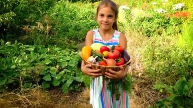 Bahçede sebze hasadı olan bir çocuk. Seçici odak.