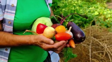 Sebze hasadı olan büyükanne ve çocuk. Seçici odak.