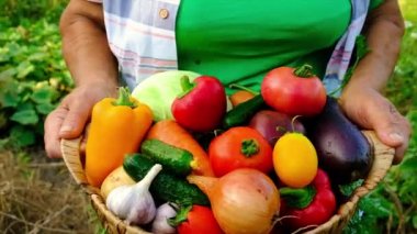 Büyükanne hasatla birlikte sebzeleri elinde tutuyor. Seçici odak.