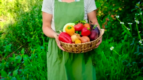 Donna che tiene le verdure tra le mani raccolto. Focus selettivo. — Video Stock