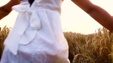 Buğday tarlasında bir çocuk. Seçici odak.