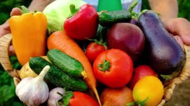 Büyükanne hasatla birlikte sebzeleri elinde tutuyor. Seçici odak.