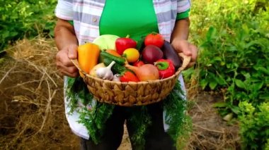 Sebze hasadı olan büyükanne ve çocuk. Seçici odak.