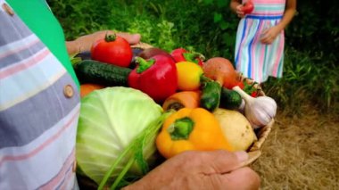 Sebze hasadı olan büyükanne ve çocuk. Seçici odak.