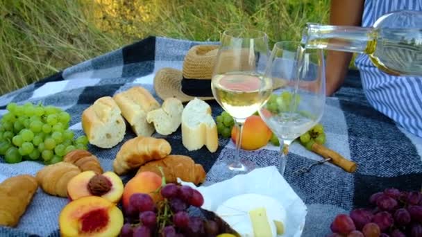 Şarapçılarla birlikte doğada piknik yapmak. Seçici odak. — Stok video