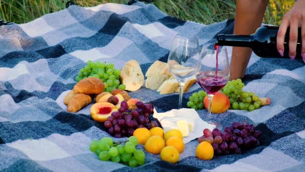 Picnic in nature with wine lovers together. Selective focus. — Stock Video