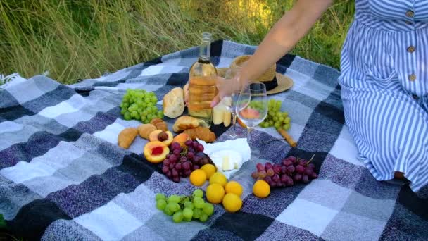 Piknik w przyrodzie z miłośnikami wina razem. Skupienie selektywne. — Wideo stockowe