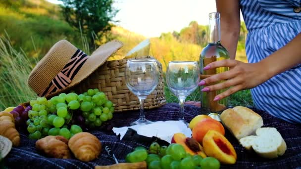 Picknick in de natuur met wijnliefhebbers samen. Selectieve focus. — Stockvideo