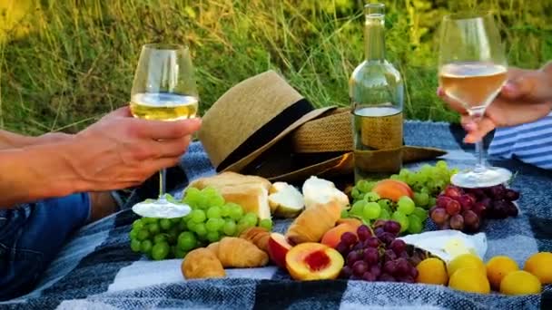 Пікнік у природі з любителями вина разом. Вибірковий фокус . — стокове відео