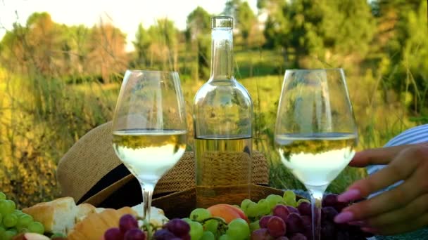 Şarapçılarla birlikte doğada piknik yapmak. Seçici odak. — Stok video