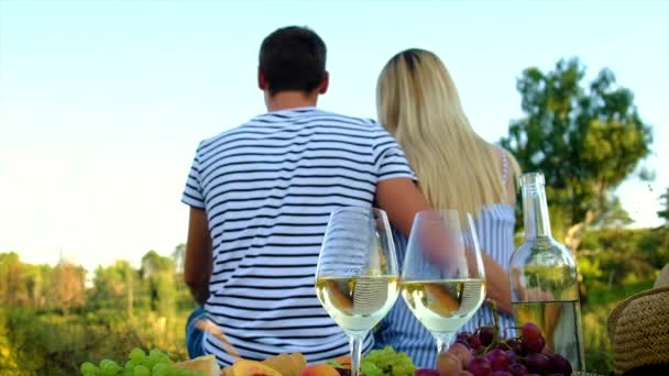 Piknik w przyrodzie z miłośnikami wina razem. Skupienie selektywne. — Wideo stockowe