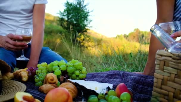 Picknick in de natuur met wijnliefhebbers samen. Selectieve focus. — Stockvideo