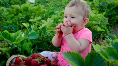Bebek bahçede çilek yiyor. Seçici odak.