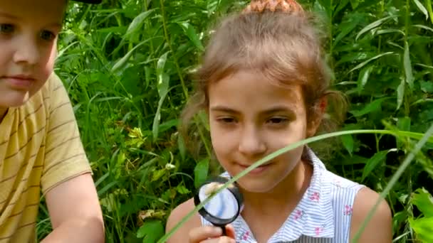 The child looks at the snail through a magnifying glass. Selective focus. — Stock Video