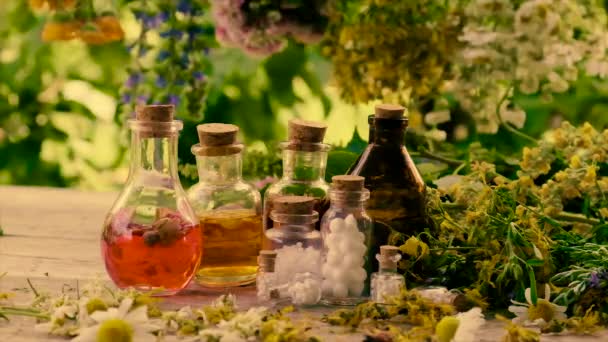 Gebottelde kruidentinctuur, homeopathie. Selectieve focus. — Stockvideo