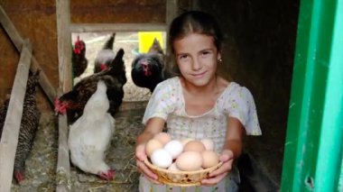 Çocuk tavuk kümesinden yumurtaları topluyor. Seçici odak.
