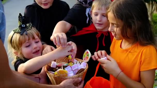 A gyerekek jelmezben ünneplik a Halloweent. Szelektív fókusz. — Stock videók