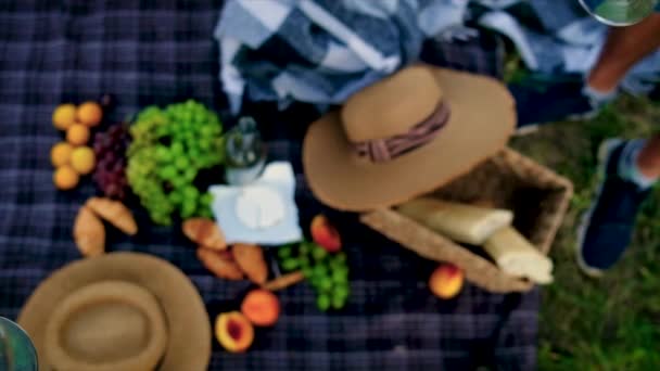 Picknick in der Natur mit Weinfreunden. Selektiver Fokus. — Stockvideo