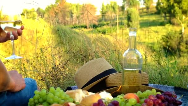 Picknick i naturen med vinälskare tillsammans. Selektiv inriktning. — Stockvideo