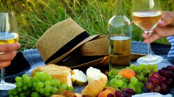 Picnic en la naturaleza con amantes del vino juntos. Enfoque selectivo. — Vídeo de stock