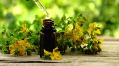 St. Johns otunun özü ve tentürü küçük bir şişede. Seçici odak.