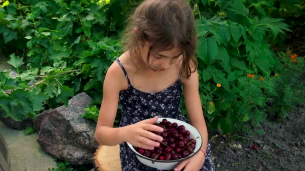 Il bambino mangia ciliegie in giardino. Focus selettivo. — Video Stock