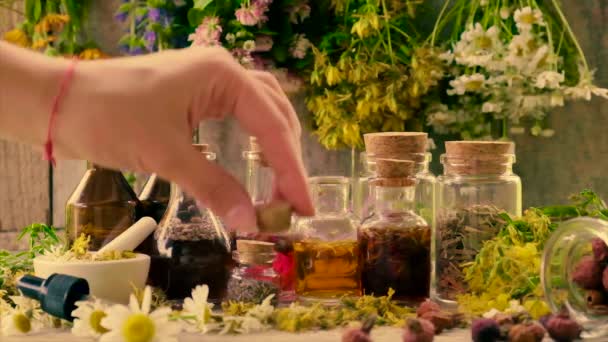 Gebottelde kruidentinctuur, homeopathie. Selectieve focus. — Stockvideo