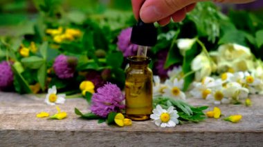 Homeopati, küçük bir şişedeki şifalı bitkilerin tentürü. Seçici odak.