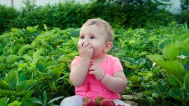 Bebek bahçede çilek yiyor. Seçici odak.