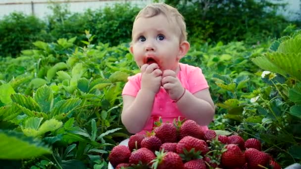Дитина їсть полуницю в саду. Вибірковий фокус . — стокове відео