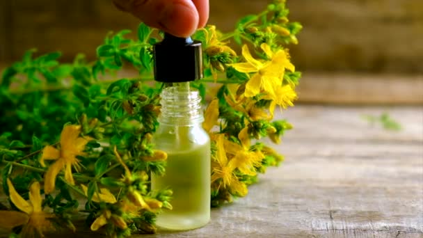 Ekstrak dan kepingan St. Johns wort dalam botol kecil. Fokus selektif. — Stok Video