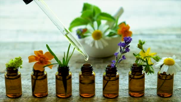 Tintura de hierbas medicinales en frascos pequeños. Enfoque selectivo. — Vídeo de stock