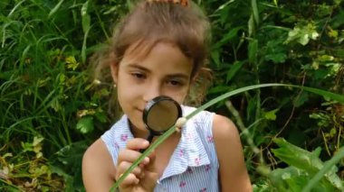 Çocuk bir büyüteçten salyangoza bakıyor. Seçici odak.