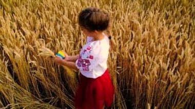 Ukrayna 'nın bağımsızlık günü için buğday tarlası konsepti. Seçici odak.