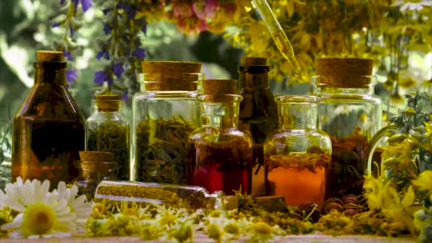 Tintura de ervas engarrafada, homeopatia. Foco seletivo. — Vídeo de Stock