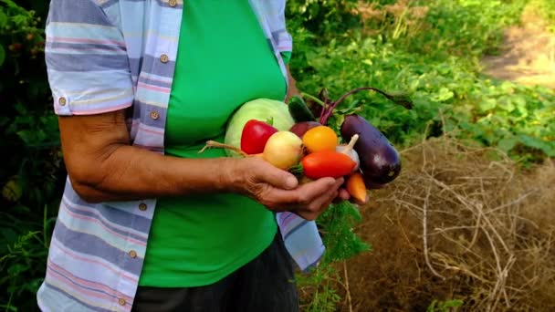 Nonna e bambino con un raccolto di verdure. Focus selettivo. — Video Stock