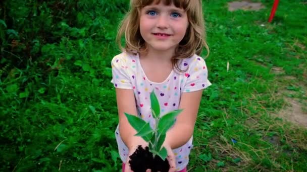 Τα παιδιά φυτεύουν ένα δέντρο το καλοκαίρι. Επιλεκτική εστίαση. — Αρχείο Βίντεο