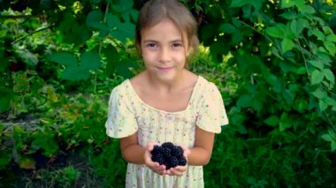Çocuk bahçeden böğürtlen topluyor. Seçici odak.