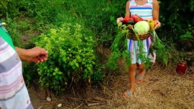 Sebze hasadı olan büyükanne ve çocuk. Seçici odak.