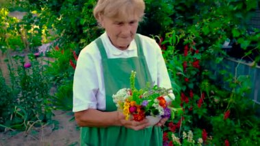 Kadın şifalı bitkiler ve çiçekler topluyor. Seçici odak.