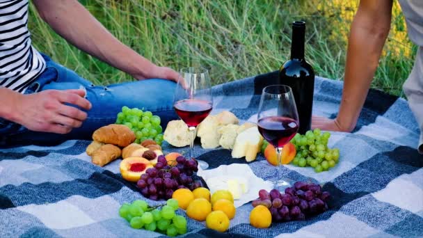 Picnic en la naturaleza con amantes del vino juntos. Enfoque selectivo. — Vídeo de stock